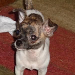 Meet your Posher, Marsha